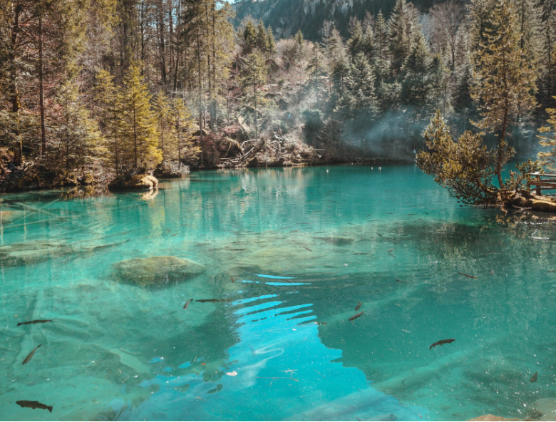 1648882600551133.png 微信截圖_20220401133602.png