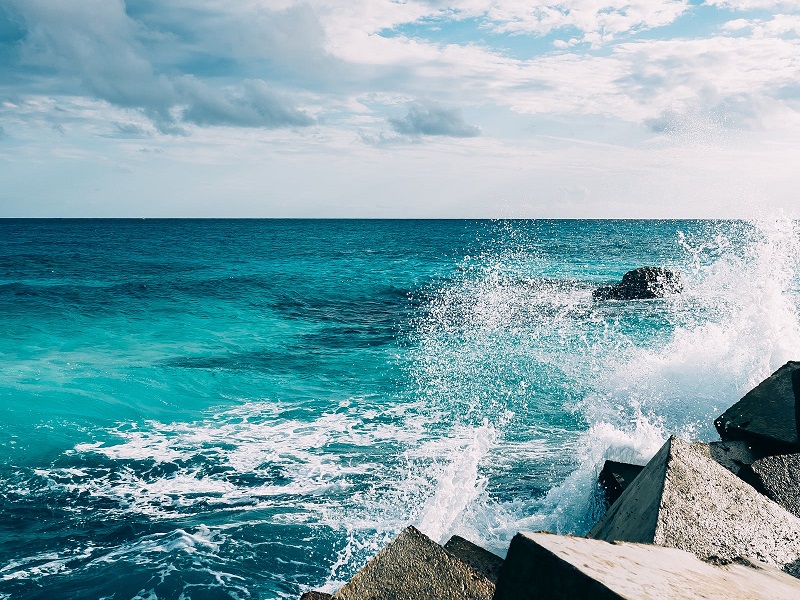 1693474657182181.jpg 167.jpg